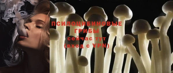шишки Краснослободск
