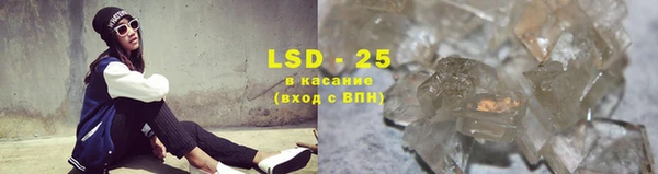PSILOCYBIN Сафоново