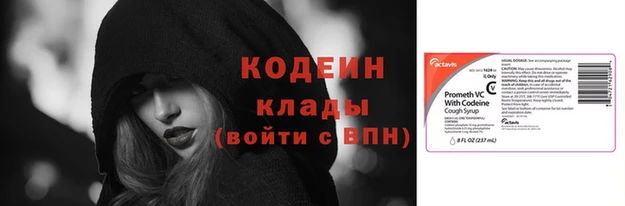 шишки Краснослободск