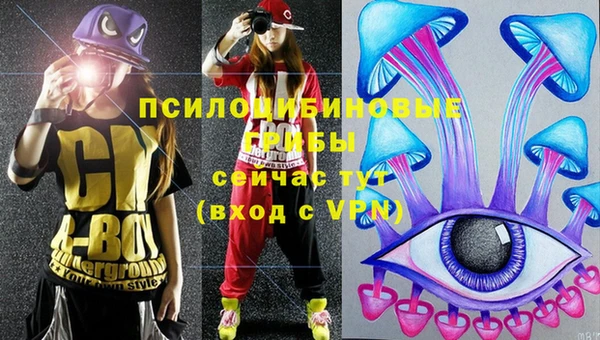 прущие крисы Всеволожск