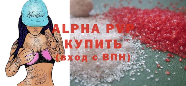 спайс Корсаков