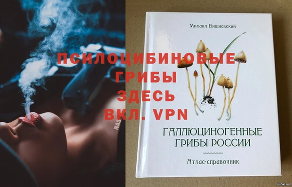 индика Ладушкин