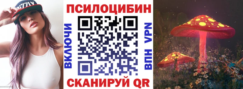 Псилоцибиновые грибы Psilocybe Кохма