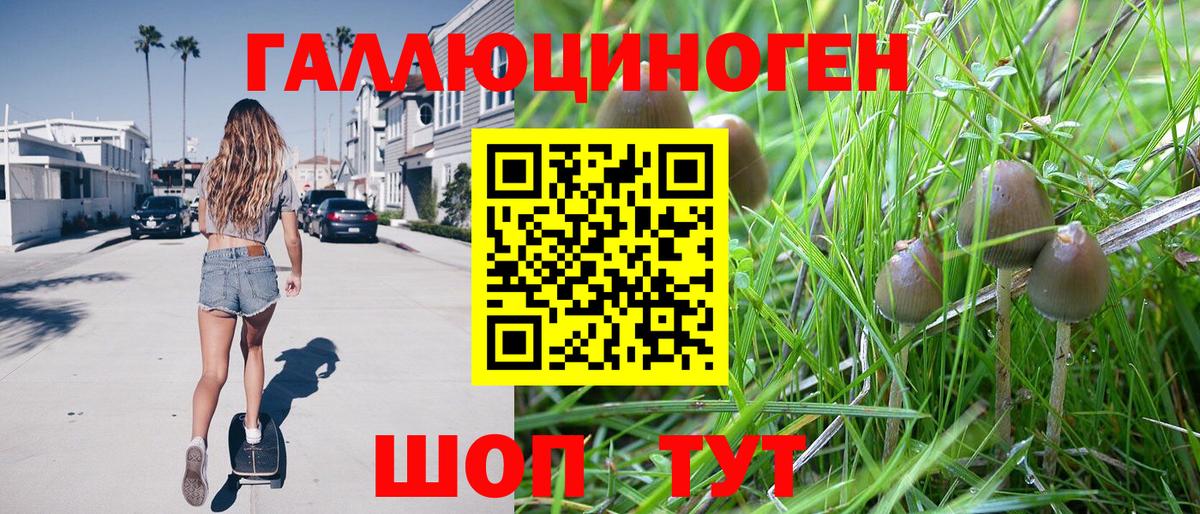 Кохма  Галлюциногенные грибы Psilocybe  Вход с VPN  Галлюциногенные грибы MAGIC MUSHROOMS 