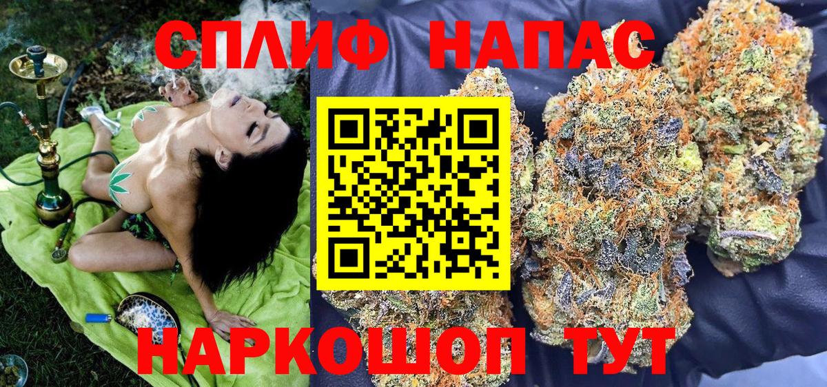 Бошки Шишки семена Кохма